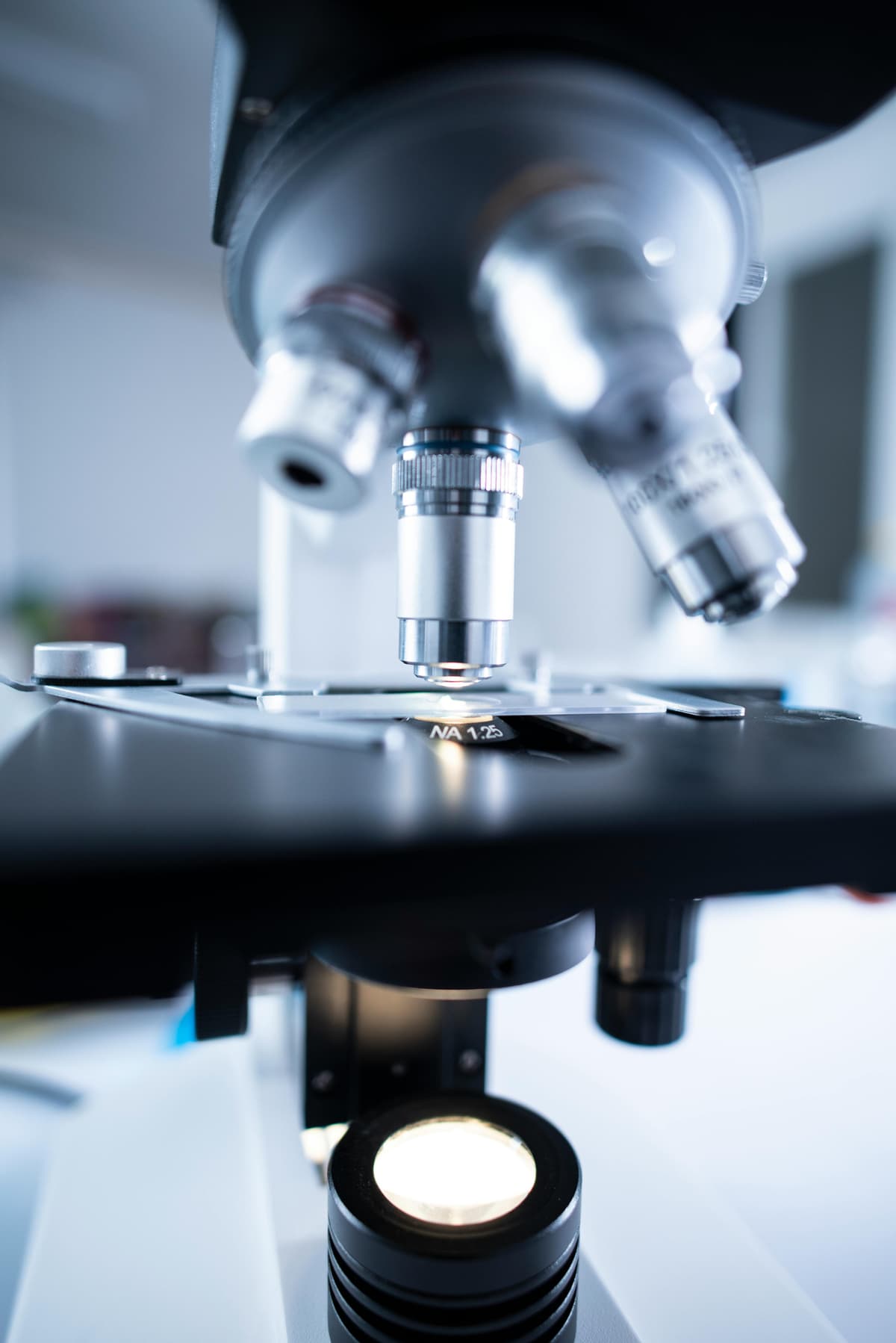 Breakthrough in Alzheimer's Research Shows Promise